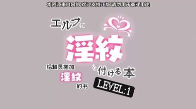 里番 被刻上淫纹的精灵